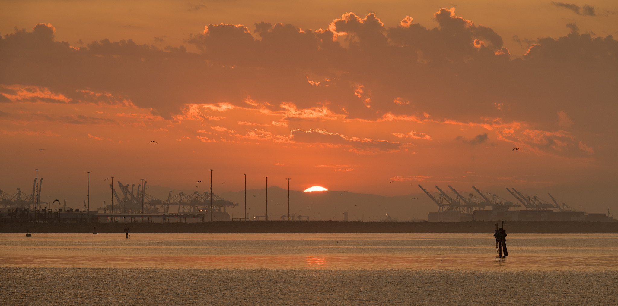 Articles - ECPS, image size:2048x1016